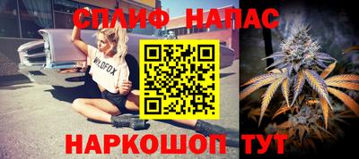 скорость Пугачёв
